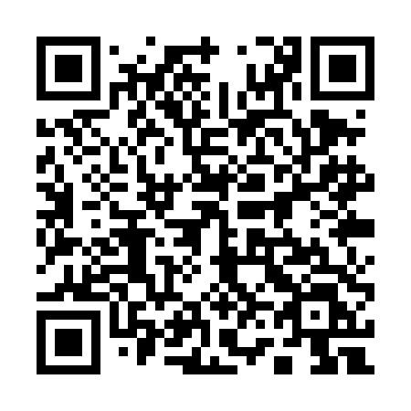 QR code for plate 161 TDL