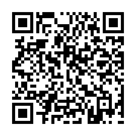 QR code for plate 161 YVM