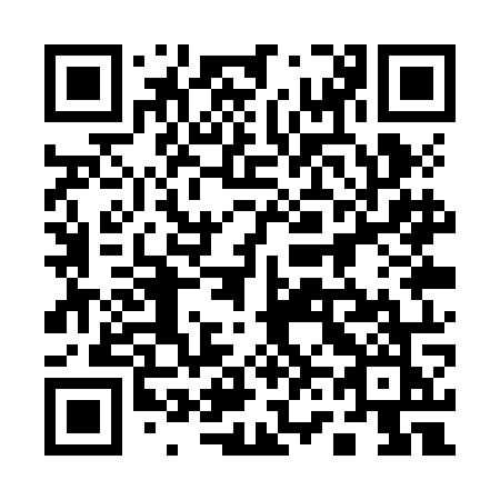 QR code for plate 161 ZOK