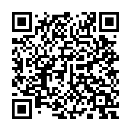 QR code for 163 0UT