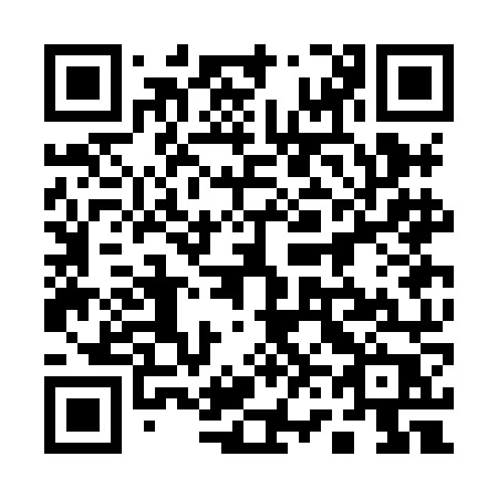QR code for plate 163 HNP