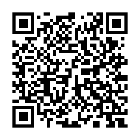 QR code for plate 163 VNE