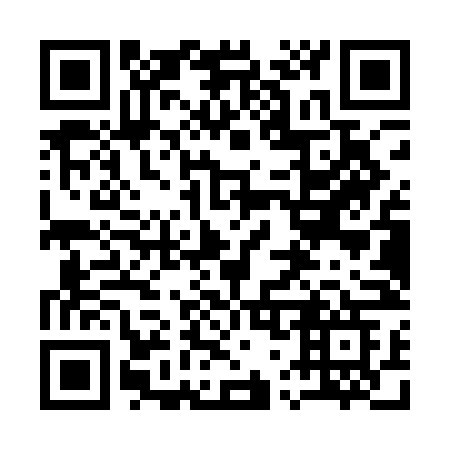 QR code for plate 171 QNG