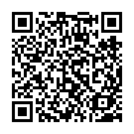 QR code for plate 171 VMK