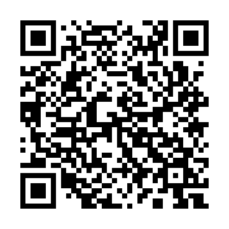 QR code for 1911VN
