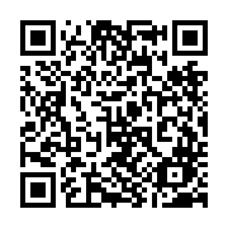 QR code for plate 193 NDN