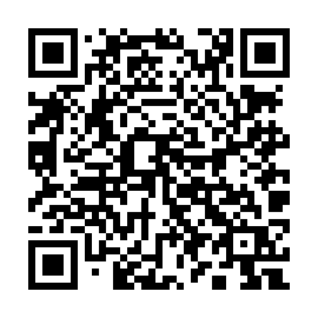 QR code for 196 LKR