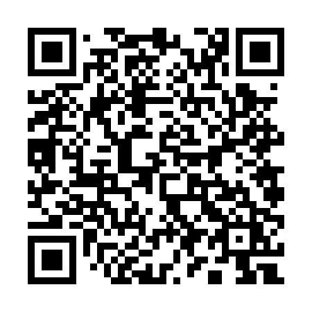 QR code for plate 196 0PZ