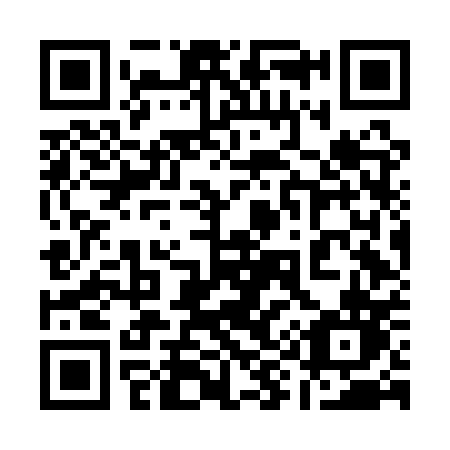 QR code for plate 196 APN