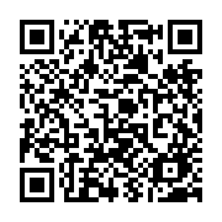 QR code for plate 196 NEG