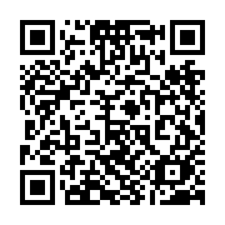 QR code for 196NEM