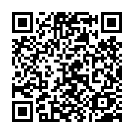 QR code for plate 196 TGU