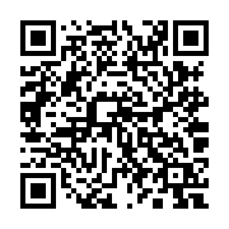 QR code for plate 196 XKR