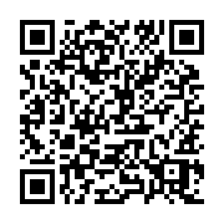 QR code for 199 ZIR