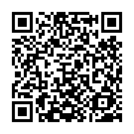 QR code for 1994BJ