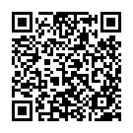 QR code for 1994MN