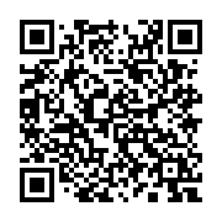 QR code for plate 199 5EX