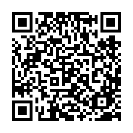 QR code for 2006DD