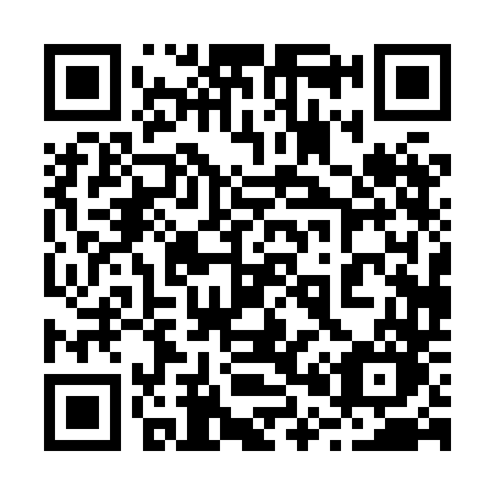 QR code for 2008DO