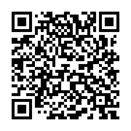 QR code for 2009FR
