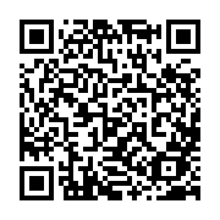 QR code for 2009HJ