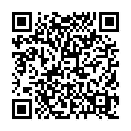 QR code for 2010DH