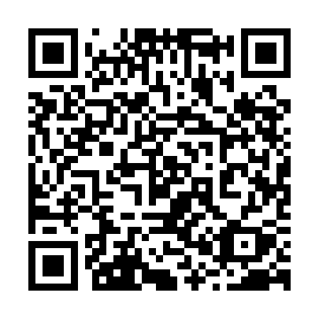 QR code for 2011CY