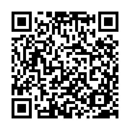QR code for 2011FO