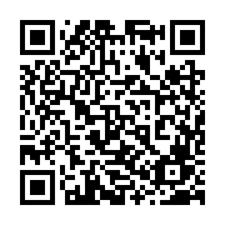 QR code for 2013VV