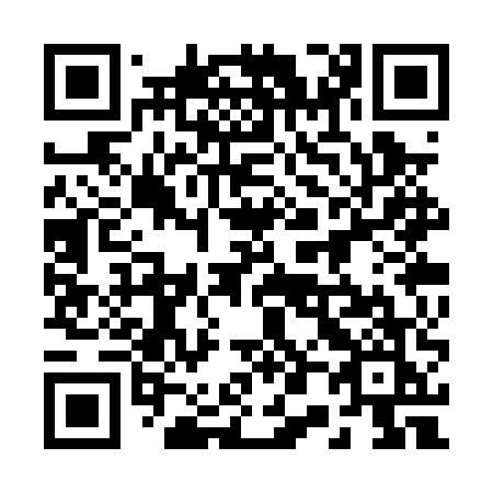 QR code for plate 203 PUK