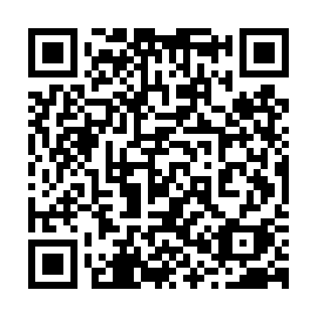 QR code for 205 DSI