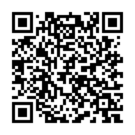 QR code for 205 GOL