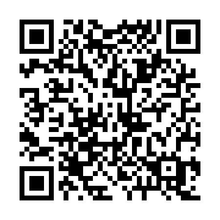 QR code for 206 ABG