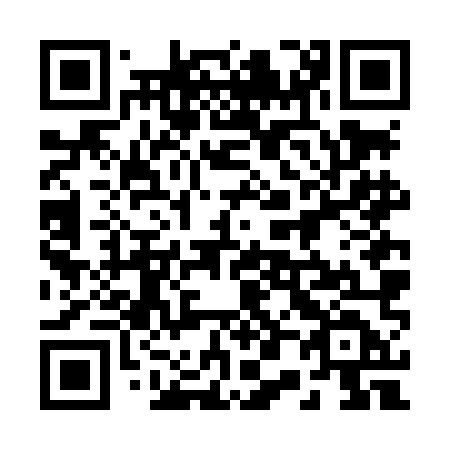 QR code for 206 LMD