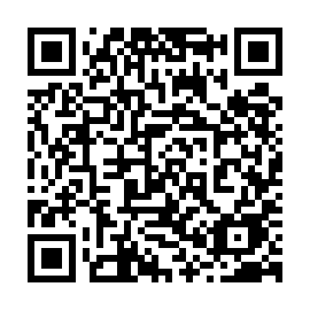 QR code for plate 207 5IE