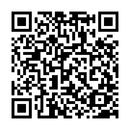QR code for 207ILX