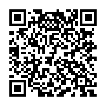 QR code for 208 LBI