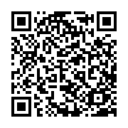 QR code for plate 210 9ZU