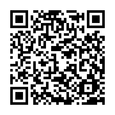 QR code for plate 210 LSB