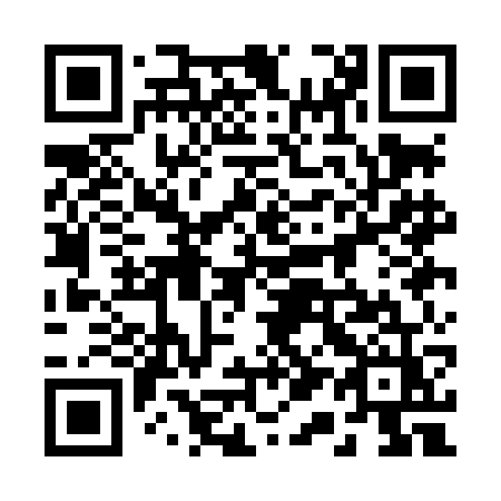QR code for plate 211 LGZ