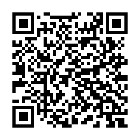 QR code for plate 213 ZDD