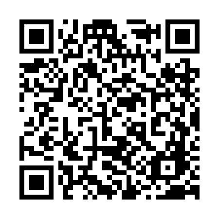 QR code for 217 SFG