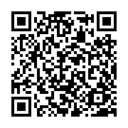 QR code for plate 219 RZR