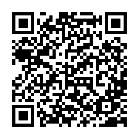 QR code for plate 220 1LT