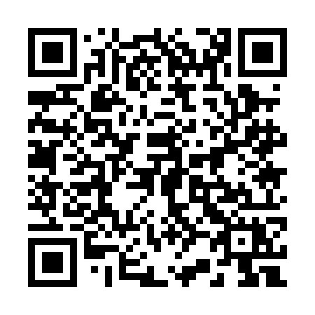 QR code for 2210OX