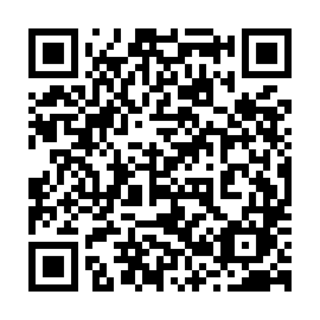 QR code for plate 221 MLM