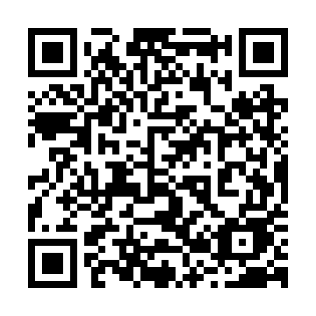 QR code for 225RUE