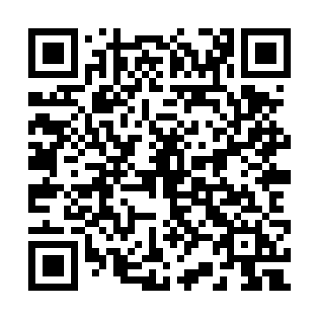 QR code for 228 TZH