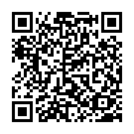QR code for plate 228 APX