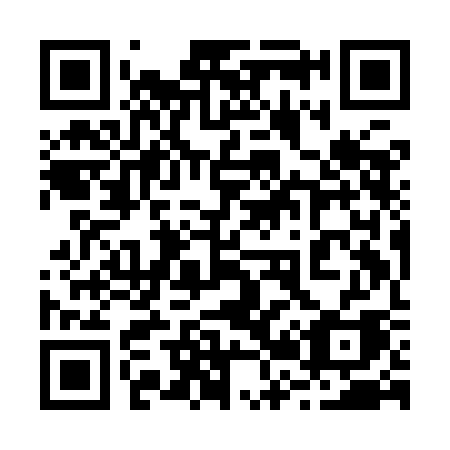 QR code for 229 ICA